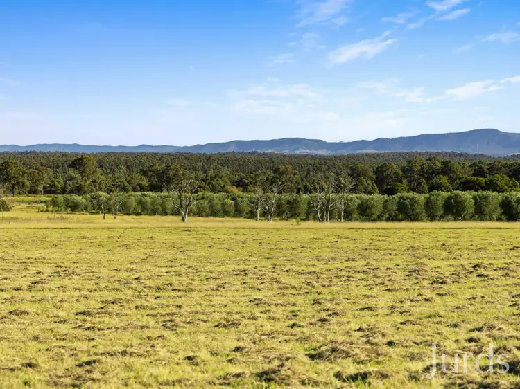 Sixth view of Homely rural property listing, 94 Majors Lane, Keinbah NSW 2320