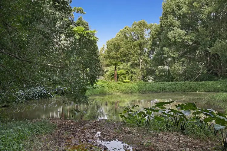 Fifth view of Homely house listing, 18 Fresco Court, Tallebudgera Valley QLD 4228