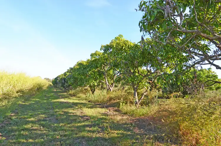 Fourth view of Homely land listing, LOT 2 River Road, Biboohra QLD 4880