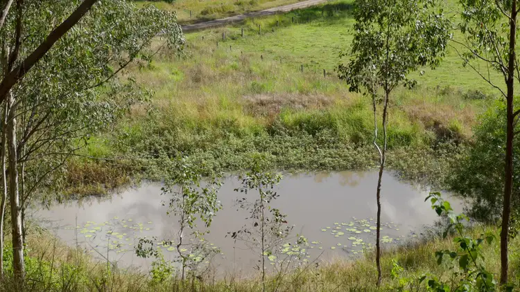 Third view of Homely rural property listing, 690 Yabbra Road, Old Bonalbo NSW 2469