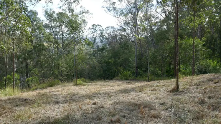 Fourth view of Homely rural property listing, 690 Yabbra Road, Old Bonalbo NSW 2469