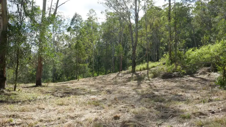 Sixth view of Homely rural property listing, 690 Yabbra Road, Old Bonalbo NSW 2469