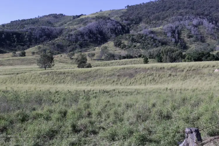 Second view of Homely rural property listing, Ridleys Road, Mount Whitestone QLD 4347