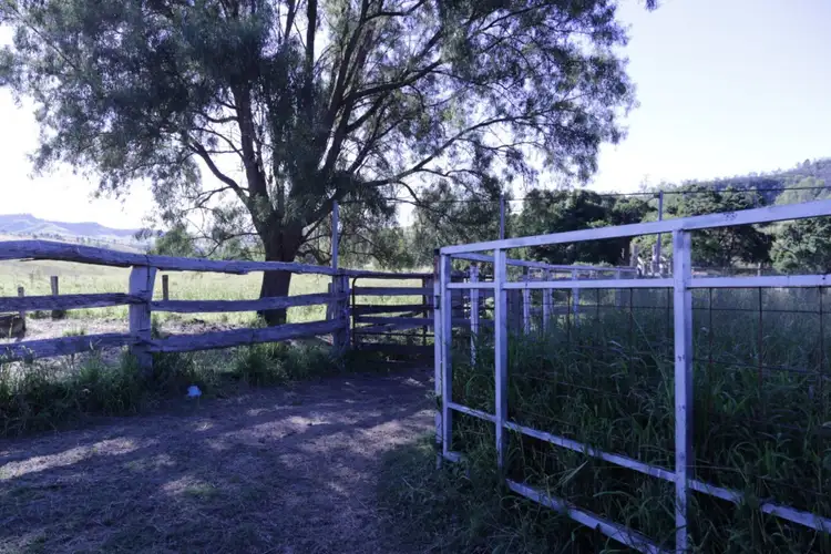 Fifth view of Homely rural property listing, Ridleys Road, Mount Whitestone QLD 4347