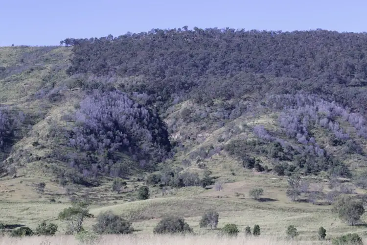 Sixth view of Homely rural property listing, Ridleys Road, Mount Whitestone QLD 4347