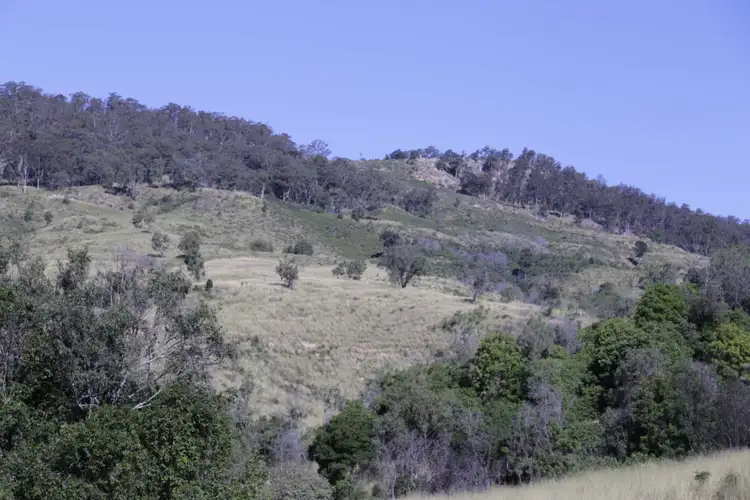 Seventh view of Homely rural property listing, Ridleys Road, Mount Whitestone QLD 4347