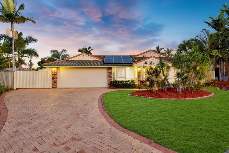 Main view of Homely house listing, 6 Lightbody Court, Ormeau QLD 4208