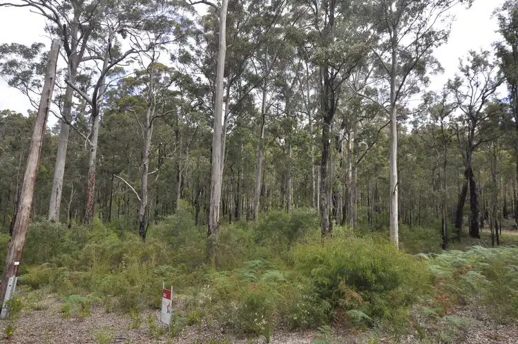 LOT 24 KARRI Lane, Quinninup WA 6258