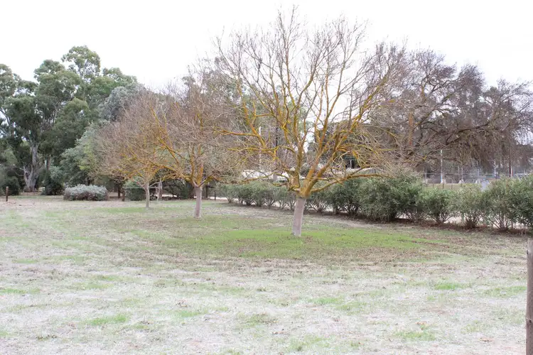 LOT 101 Young Street, Mintaro SA 5415