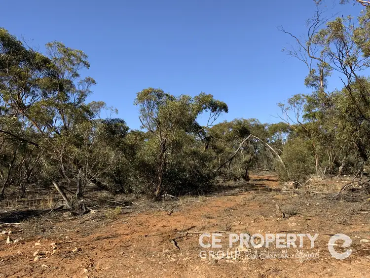 Second view of Homely rural property listing, LOT 21 Hundred Line Road, Perponda SA 5308