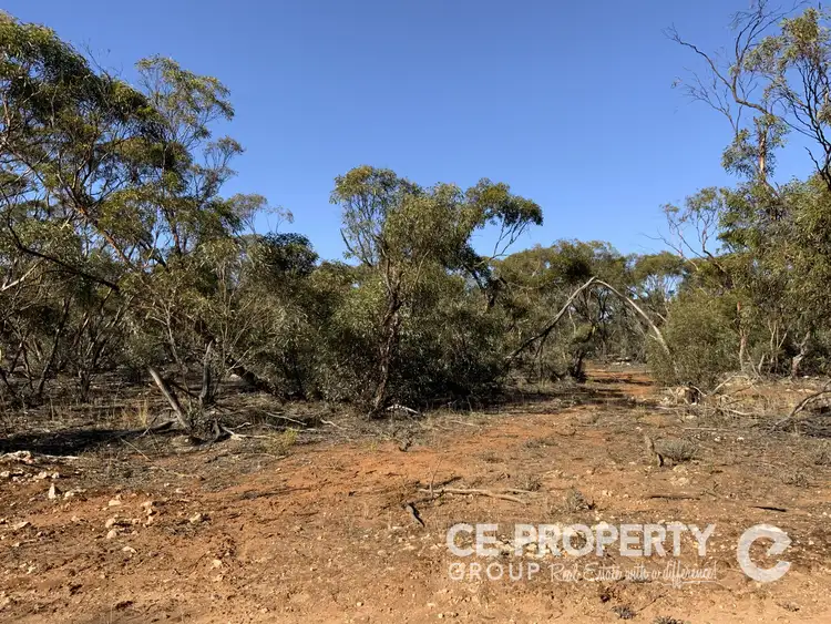 Fourth view of Homely rural property listing, LOT 21 Hundred Line Road, Perponda SA 5308