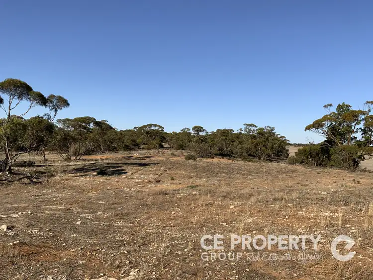 Fifth view of Homely rural property listing, LOT 21 Hundred Line Road, Perponda SA 5308