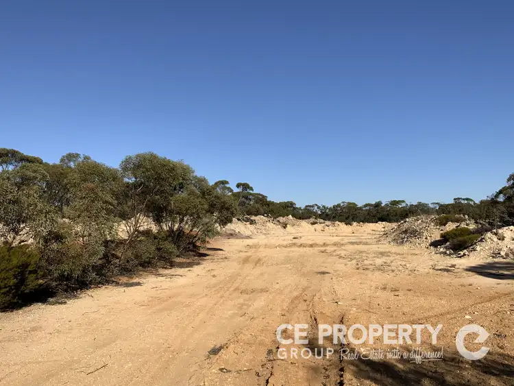 Seventh view of Homely rural property listing, LOT 21 Hundred Line Road, Perponda SA 5308