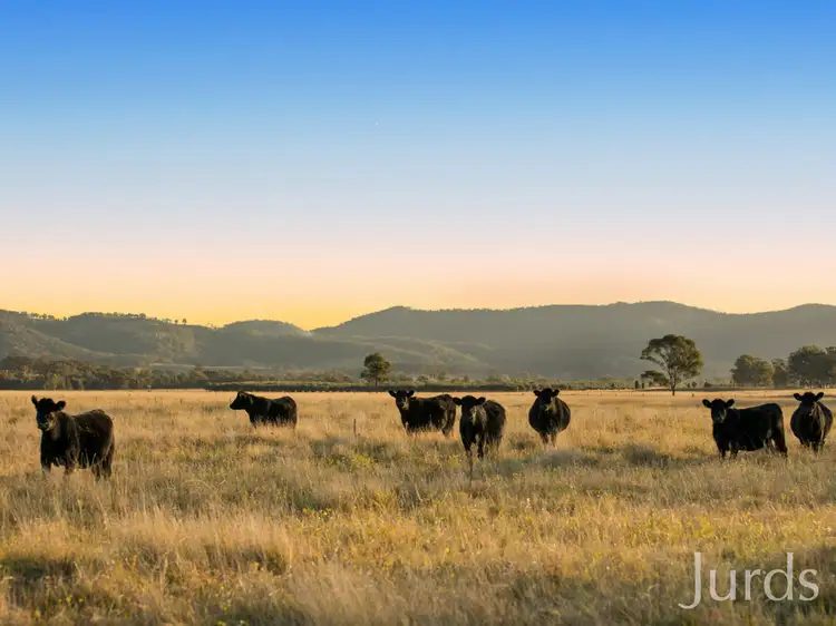 Main view of Homely rural property listing, Lot 11 De Beyer's Road, Pokolbin NSW 2320