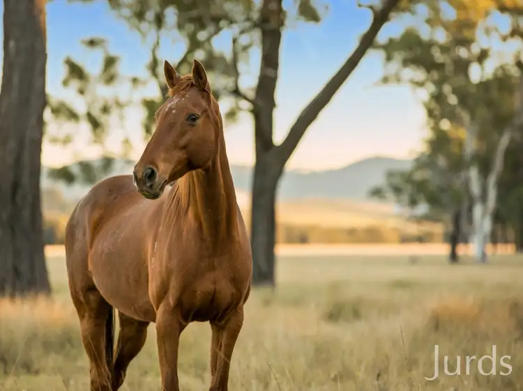Third view of Homely rural property listing, Lot 11 De Beyer's Road, Pokolbin NSW 2320