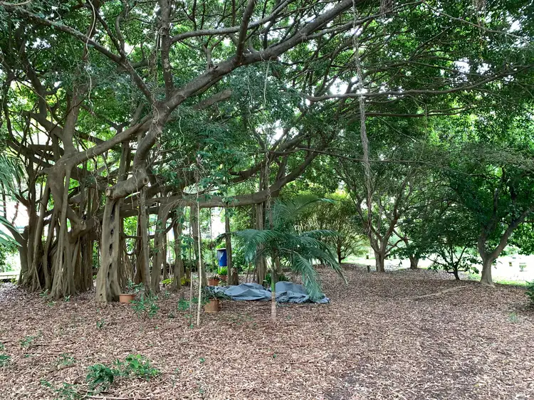 22-24 Mooroondu Street, Coochiemudlo Island QLD 4184