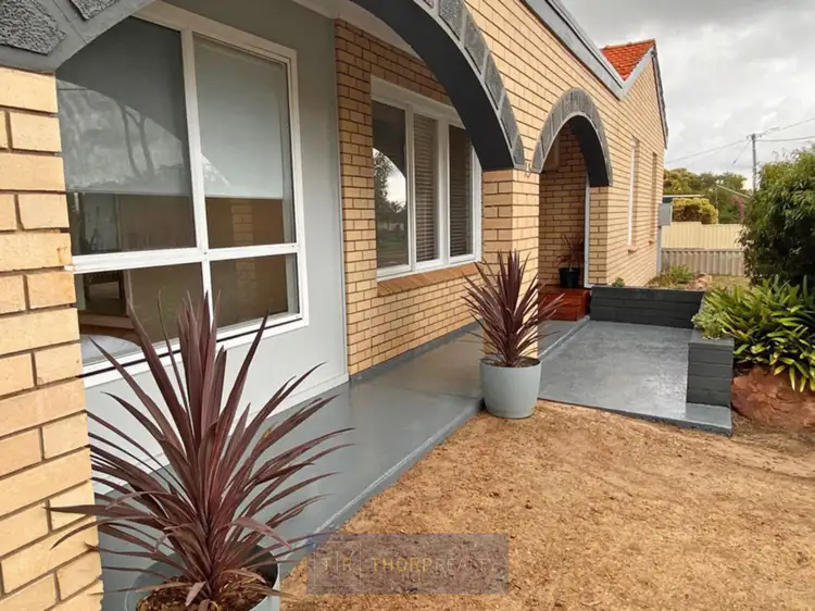 Main view of Homely house listing, 13 Magnolia Crescent, Castletown WA 6450