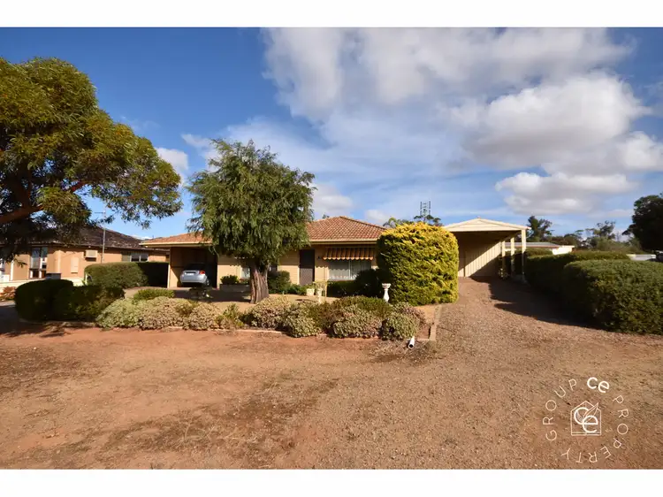 14 Bormann Avenue, Mannum SA 5238