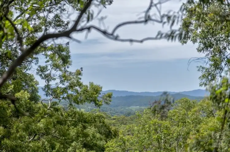 LOT 239 Smiths Creek Road, Stokers Siding NSW 2484