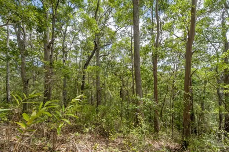 Fourth view of Homely land listing, LOT 239 Smiths Creek Road, Stokers Siding NSW 2484