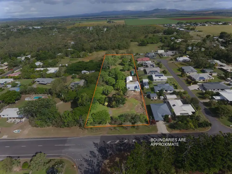 61 Costin Street, Mareeba QLD 4880