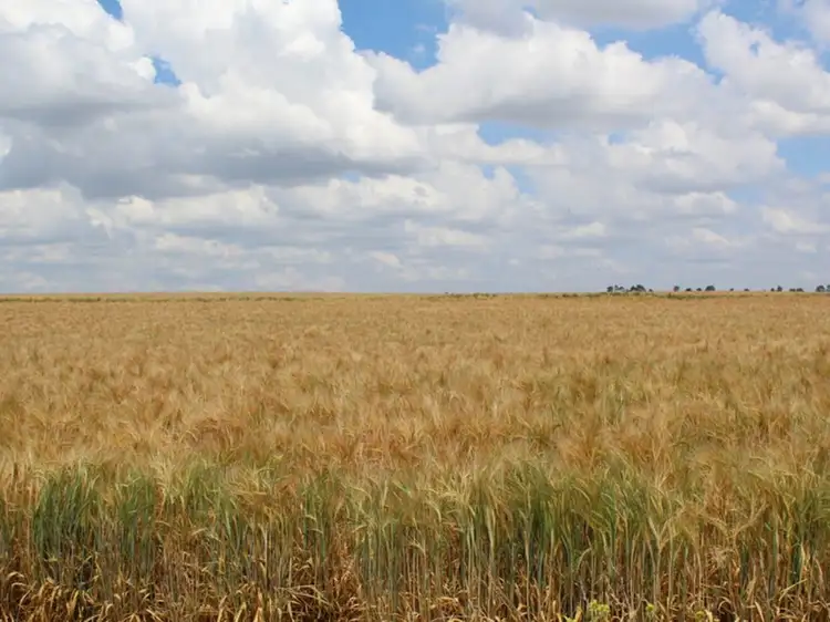 Main view of Homely rural property listing, Lot 13 Junabee Road, Junabee QLD 4370