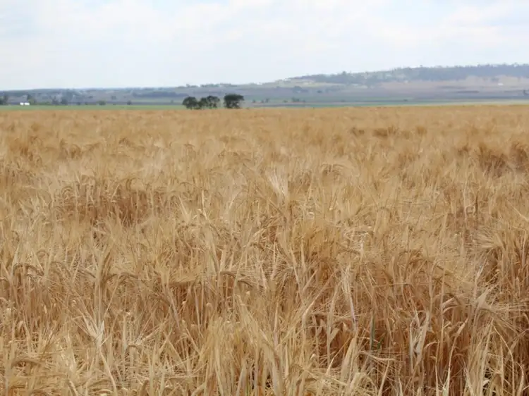 Third view of Homely rural property listing, Lot 13 Junabee Road, Junabee QLD 4370