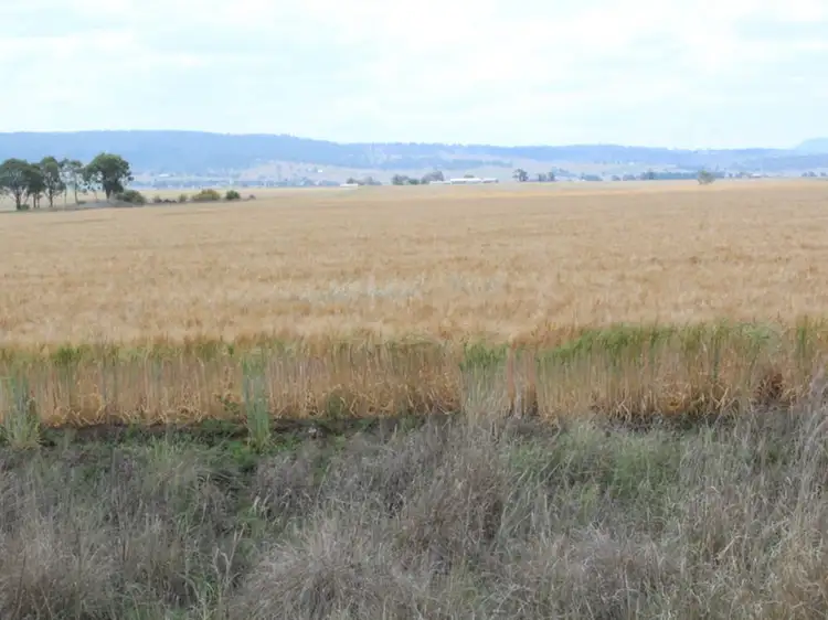Fourth view of Homely rural property listing, Lot 13 Junabee Road, Junabee QLD 4370