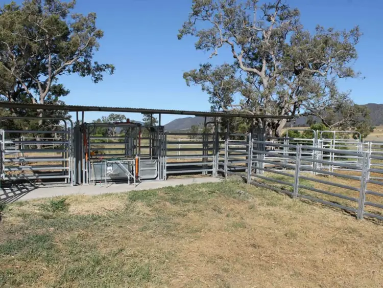 Fourth view of Homely rural property listing, 258 Swanfels Road, Yangan QLD 4371