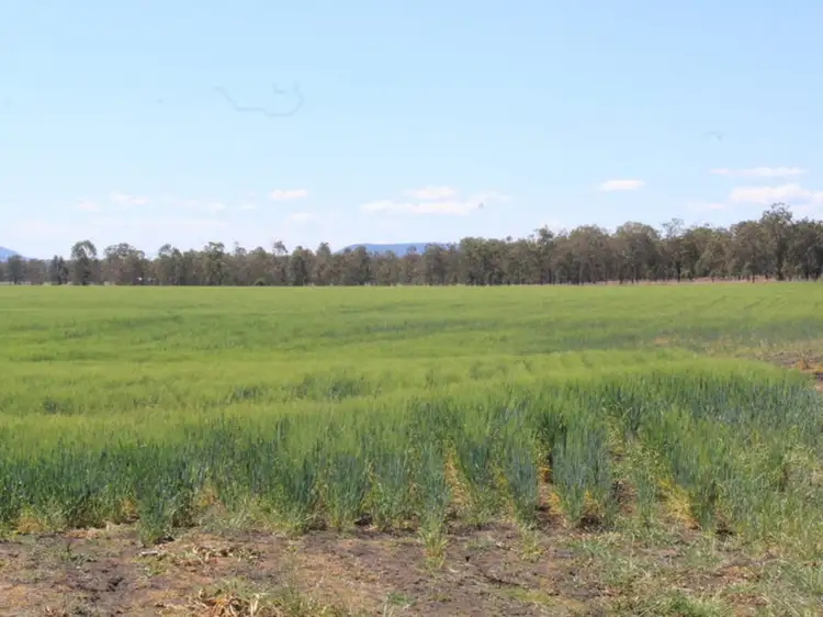 Second view of Homely rural property listing, 14 Armbruster Road, Junabee QLD 4370