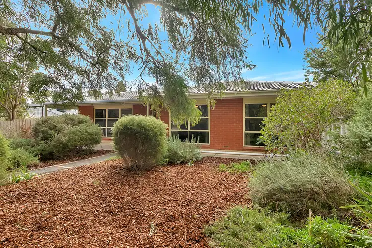 Main view of Homely house listing, 53 Joycelyn Avenue, Surrey Downs SA 5126