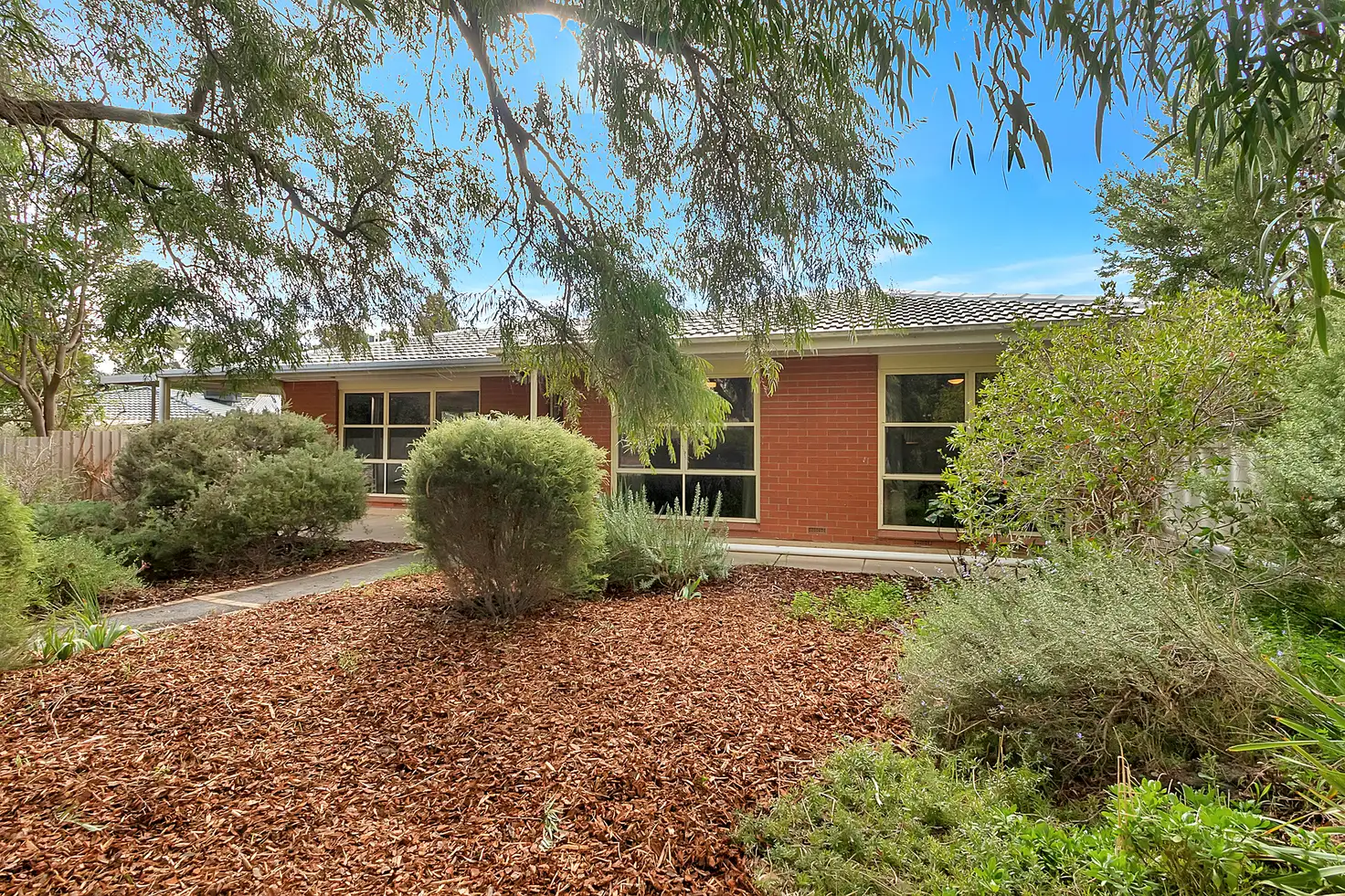 Main view of Homely house listing, 53 Joycelyn Avenue, Surrey Downs SA 5126