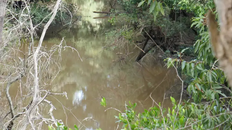 Fourth view of Homely rural property listing, 2670 Bungawalbin Whiporie Road, Gibberagee NSW 2469