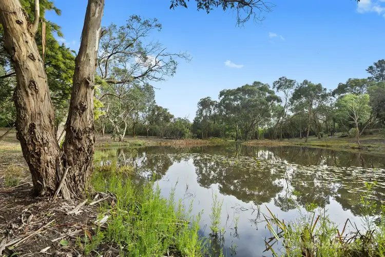 Main view of Homely land listing, 20 Sunnybank Road, Langwarrin VIC 3910