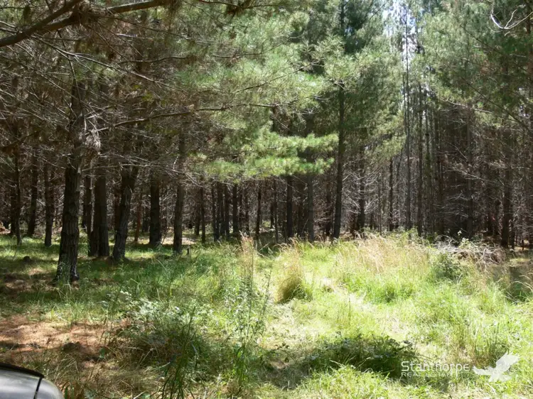 Third view of Homely land listing, Lot 244 Radiata Close, Sugarloaf QLD 4380