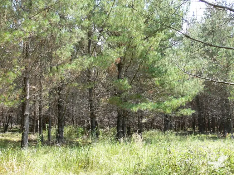 Fourth view of Homely land listing, Lot 244 Radiata Close, Sugarloaf QLD 4380