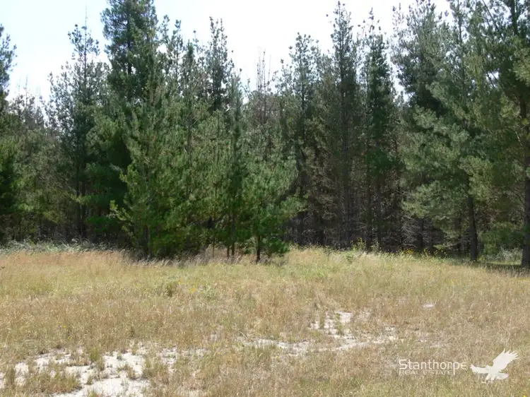 Fifth view of Homely land listing, Lot 244 Radiata Close, Sugarloaf QLD 4380