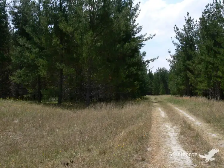 Sixth view of Homely land listing, Lot 244 Radiata Close, Sugarloaf QLD 4380