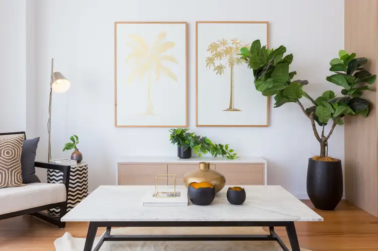 17/96-100 Nicholson Street, Greenslopes QLD 4120