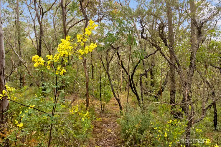 Third view of Homely land listing, 68 Kent Street, Bullaburra NSW 2784