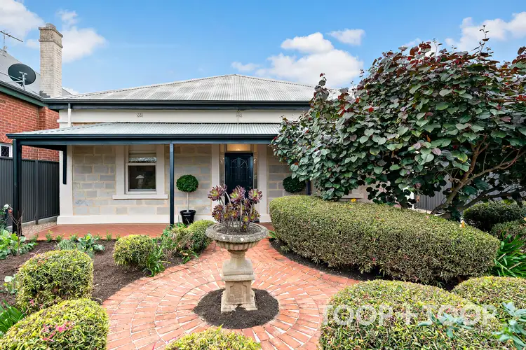 Main view of Homely house listing, 15 Langham Terrace, Unley SA 5061