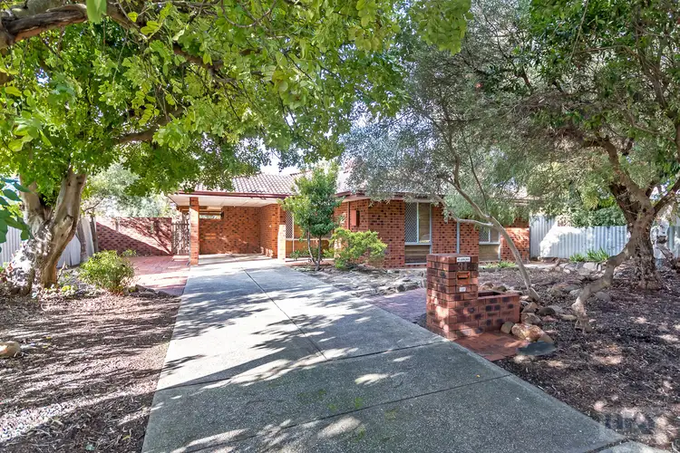 31 Drummer Way, Heathridge WA 6027