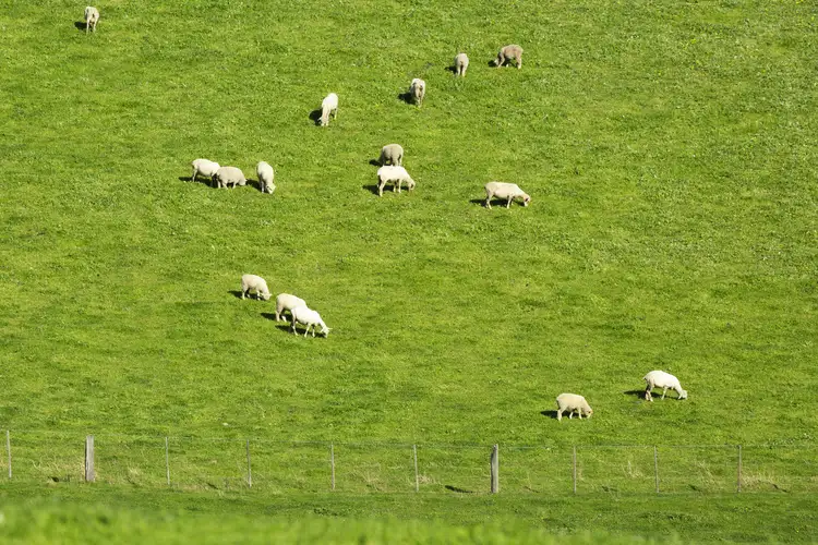 Fifth view of Homely rural property listing, 90 Walter Road, Barrabool VIC 3221