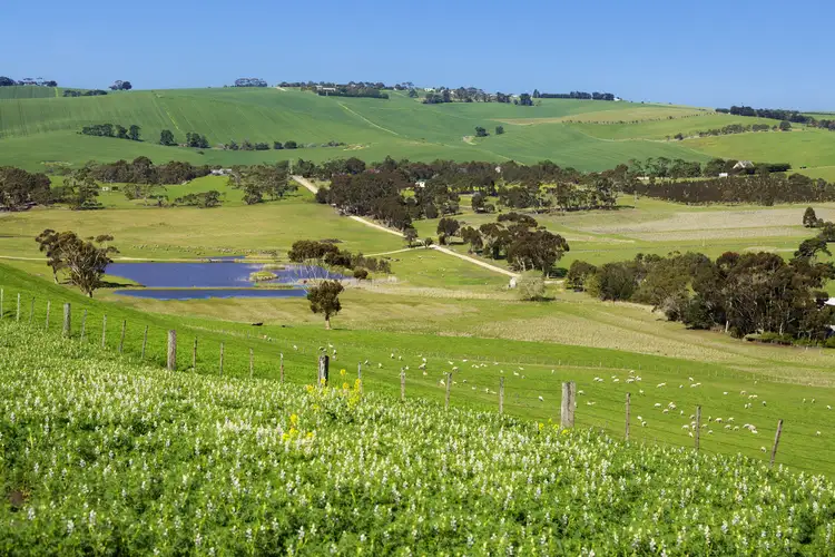 Seventh view of Homely rural property listing, 90 Walter Road, Barrabool VIC 3221