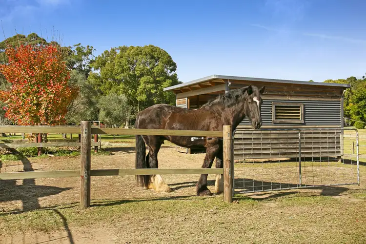 763 Tallebudgera Creek Road, Tallebudgera Valley QLD 4228