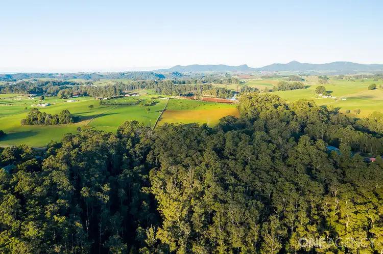 Fourth view of Homely rural property listing, 1D Rawlings Road, Upper Stowport TAS 7321