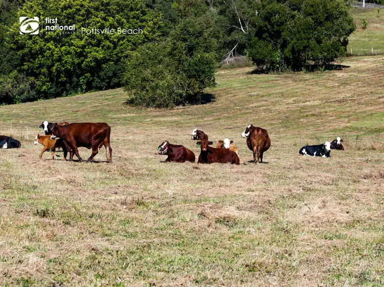 Main view of Homely rural property listing, 487 Wardrop Valley Road, Fernvale NSW 2484