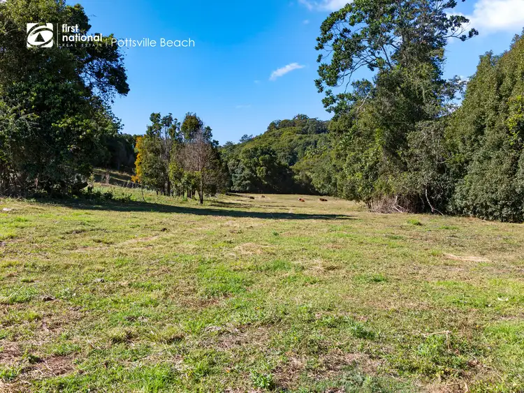 Second view of Homely rural property listing, 487 Wardrop Valley Road, Fernvale NSW 2484