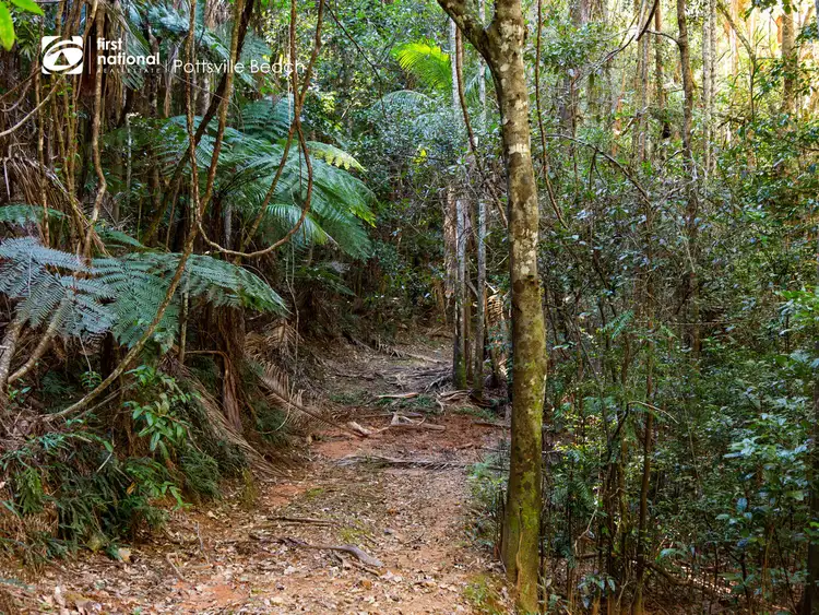 Sixth view of Homely rural property listing, 487 Wardrop Valley Road, Fernvale NSW 2484