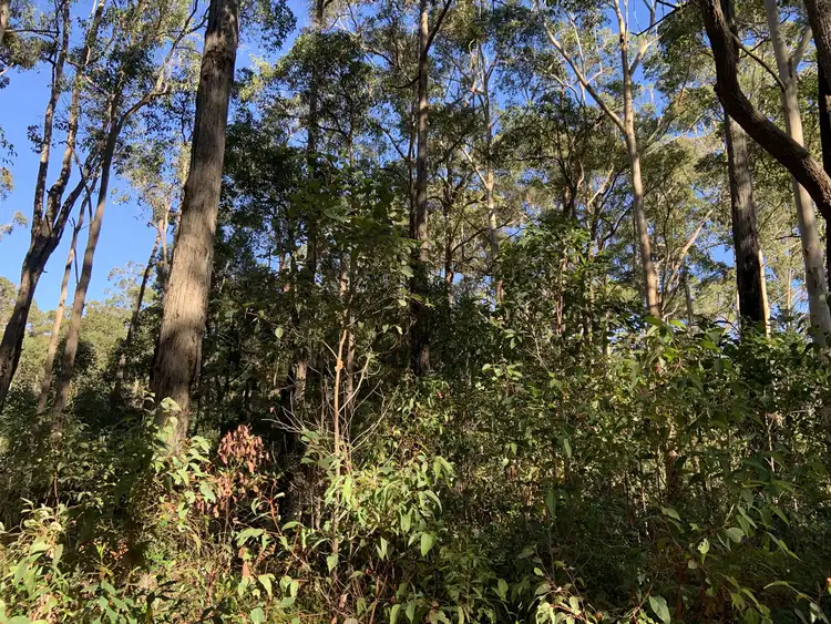 Third view of Homely land listing, Lot 18 Karri Lane, Quinninup WA 6258